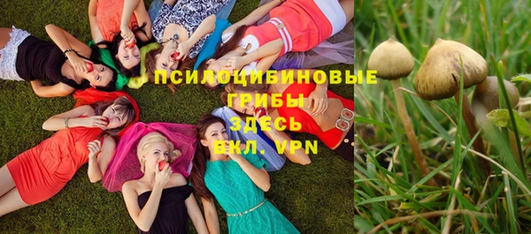 героин Алзамай