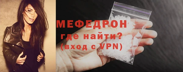 индика Арсеньев