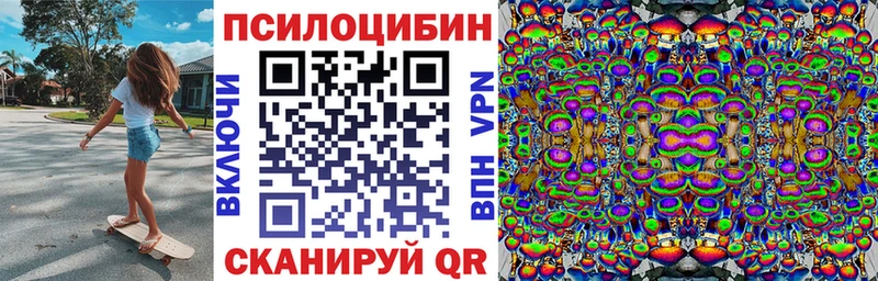 Псилоцибиновые грибы Psilocybine cubensis  Балей 
